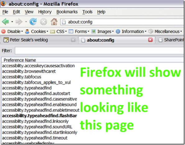 Firefox will display the about:config page