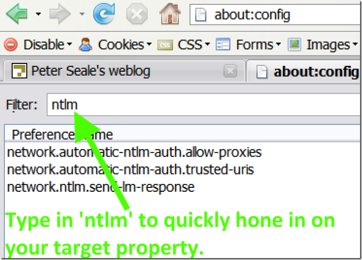Type in ntlm in the filter to quickly hone in on your target property