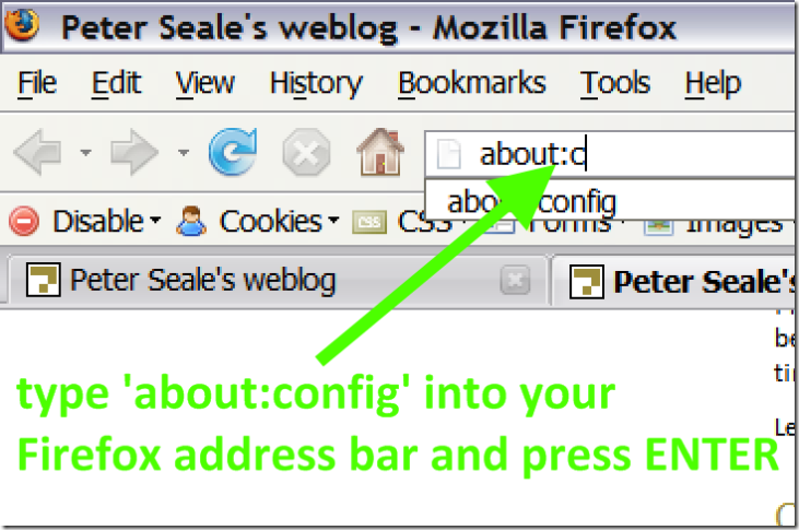 Type about:config in the Firefox address bar